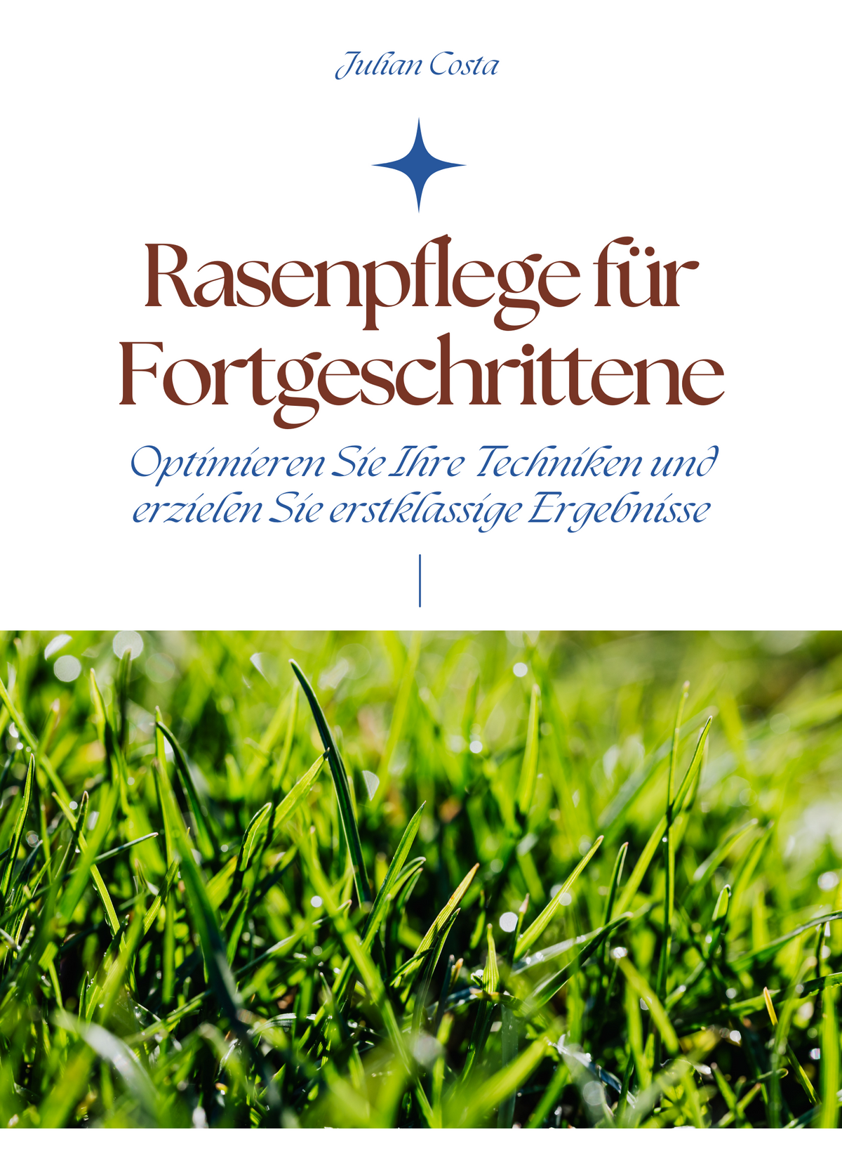 Rasenpflege für Fortgeschrittene