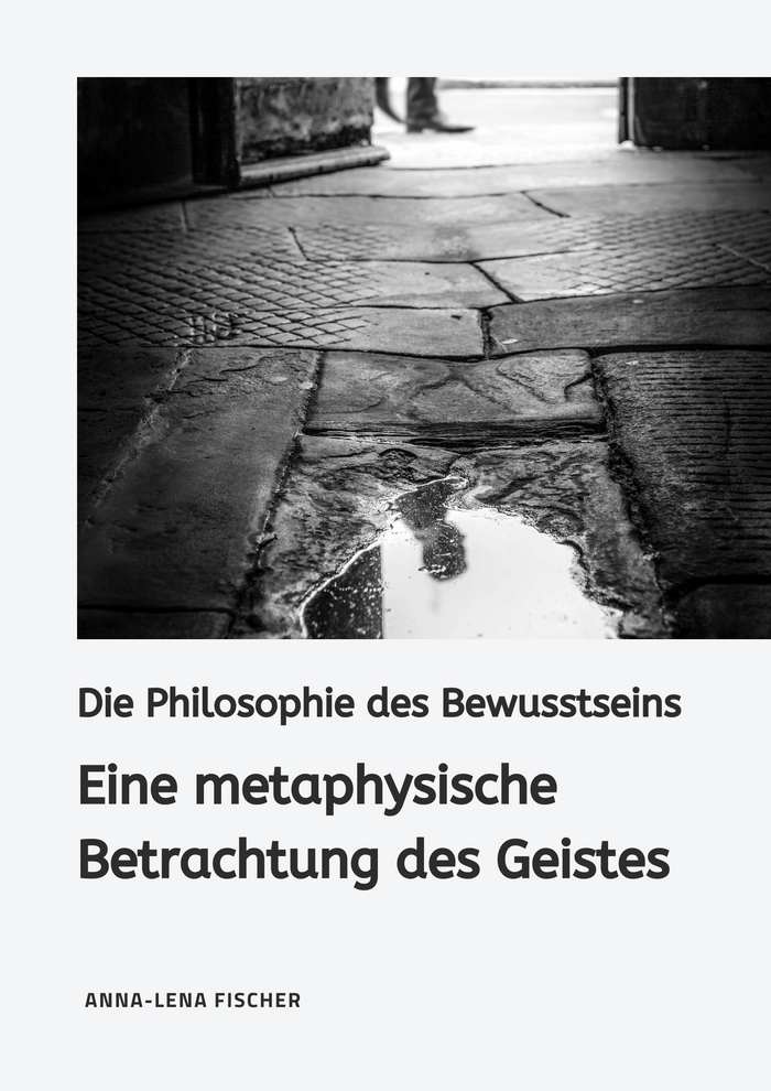 Die Philosophie des Bewusstseins