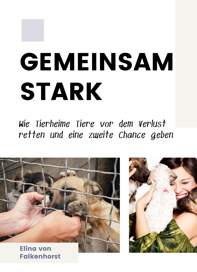 Gemeinsam stark