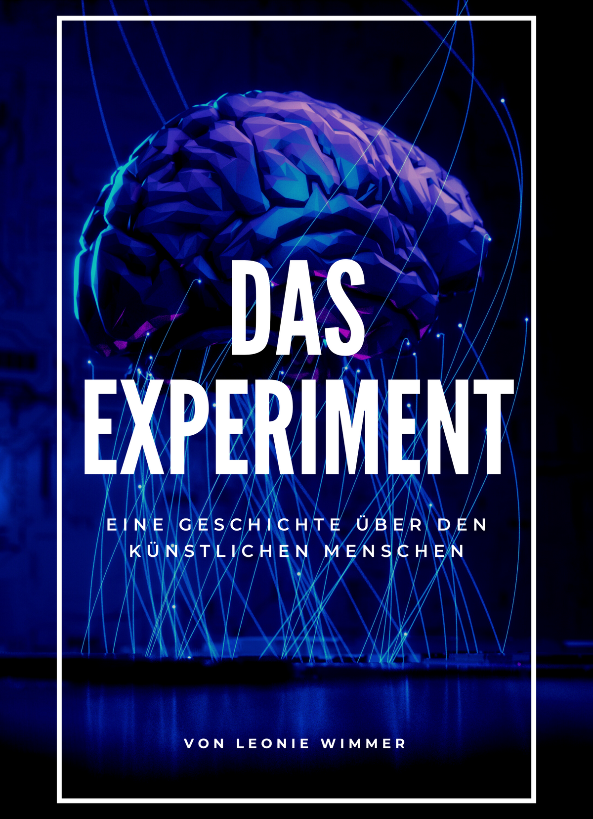 Das Experiment