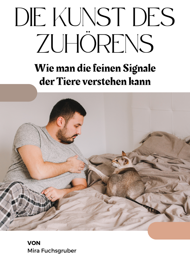 Die Kunst des Zuhörens