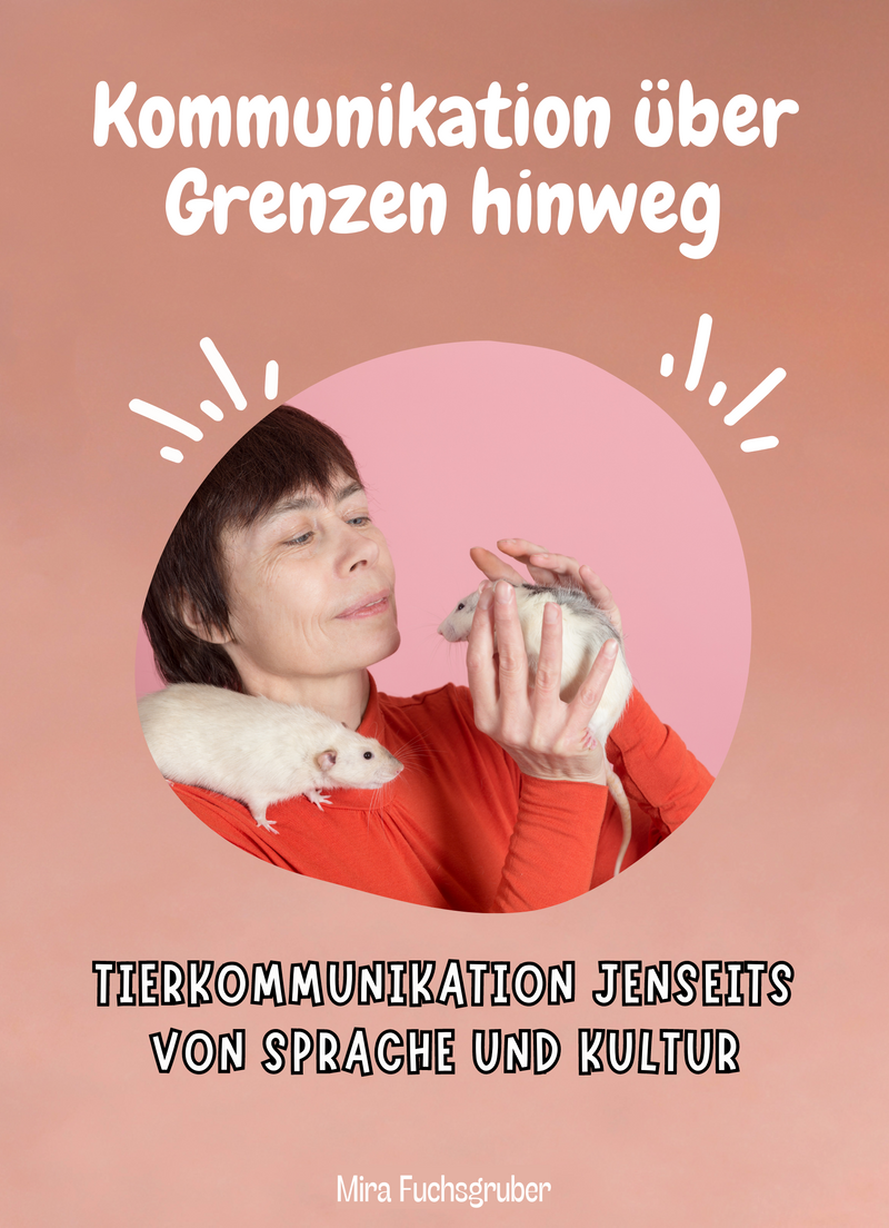 Kommunikation über Grenzen hinweg