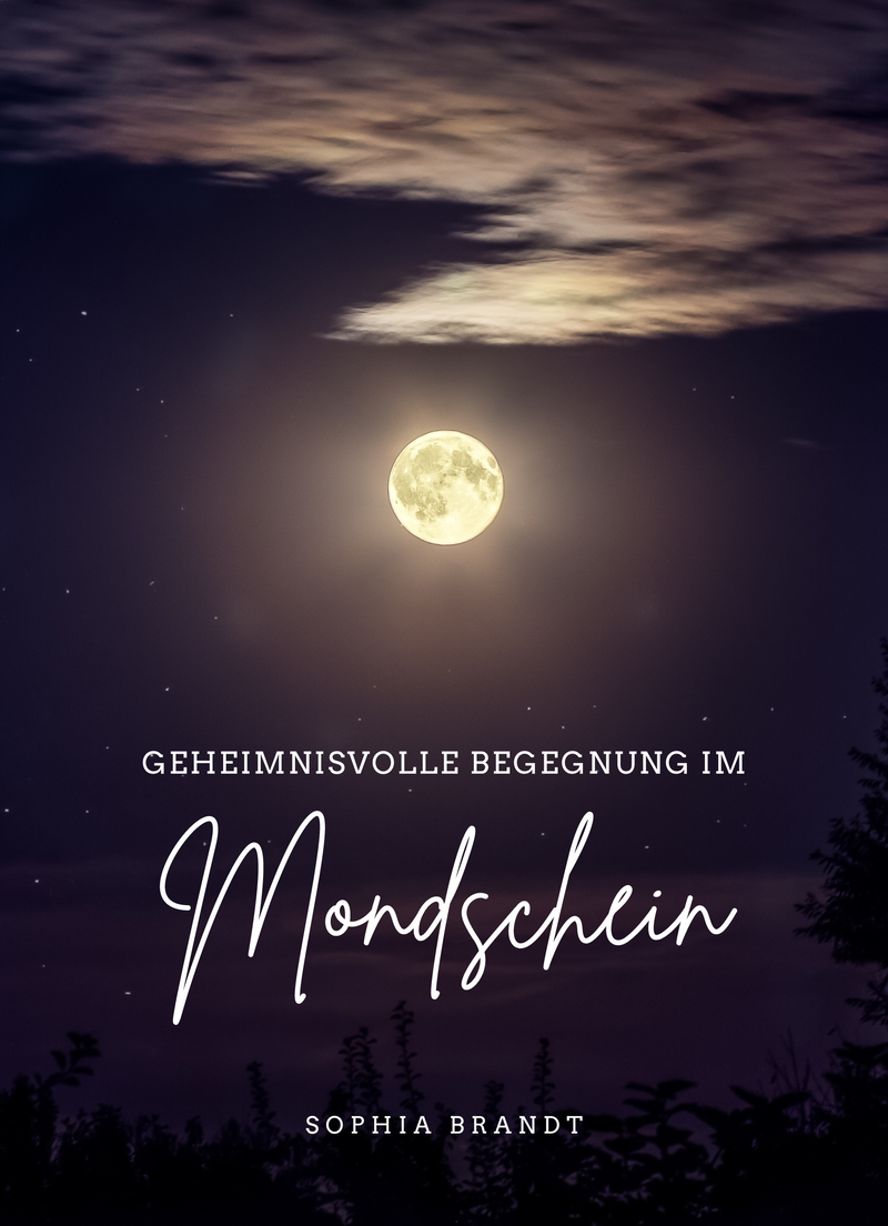 Geheimnisvolle Begegnung im Mondschein