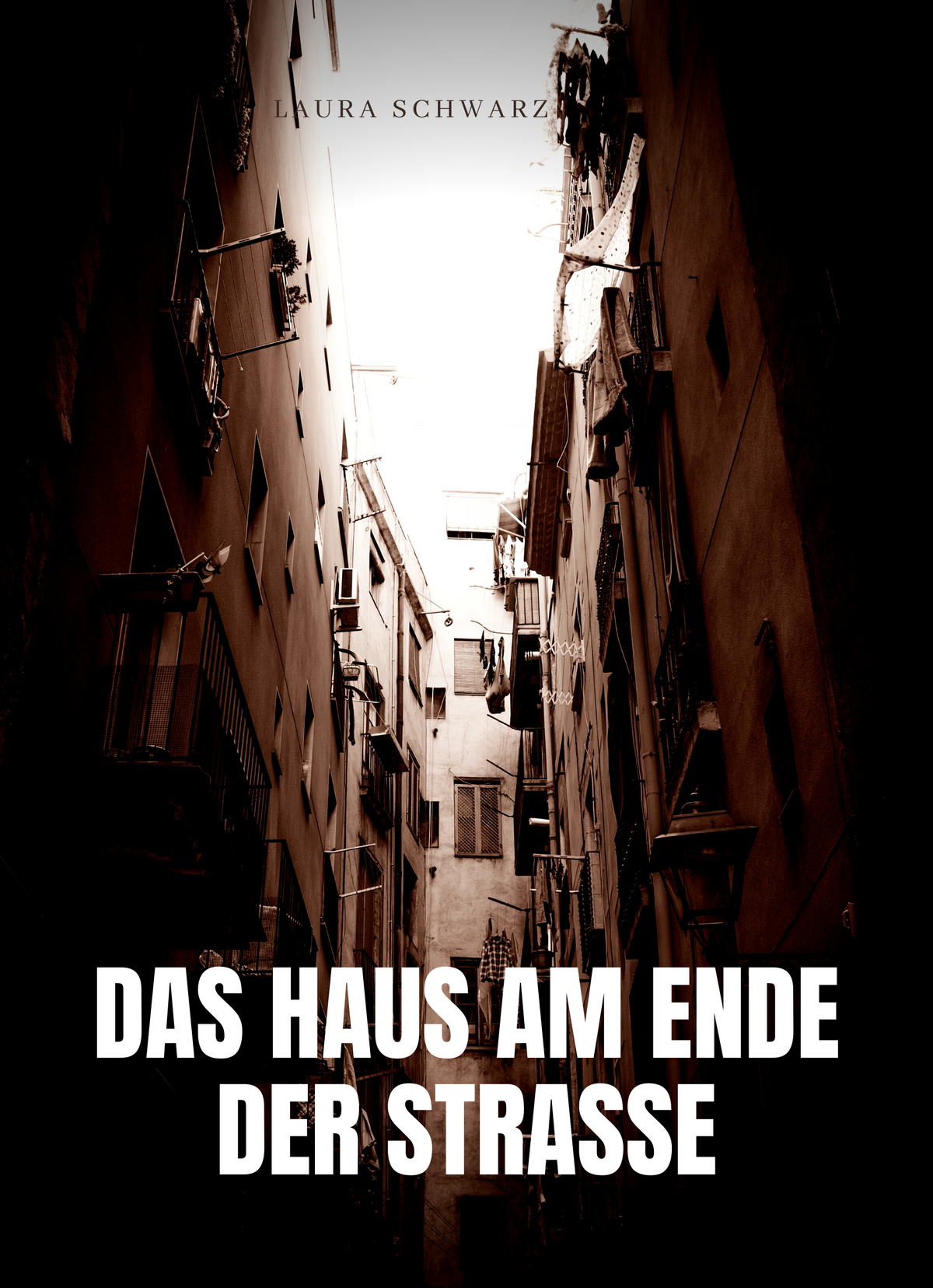 Das Haus am Ende der Straße