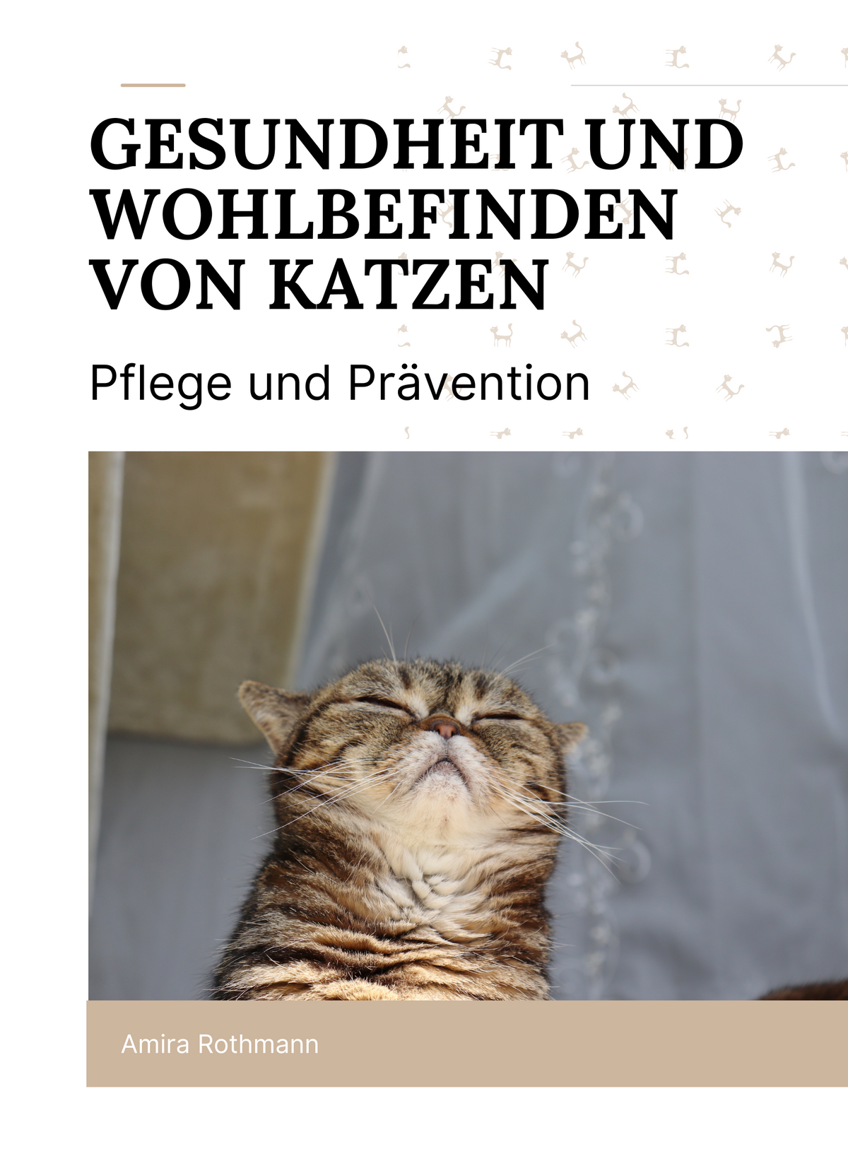 Gesundheit und Wohlbefinden von Katzen