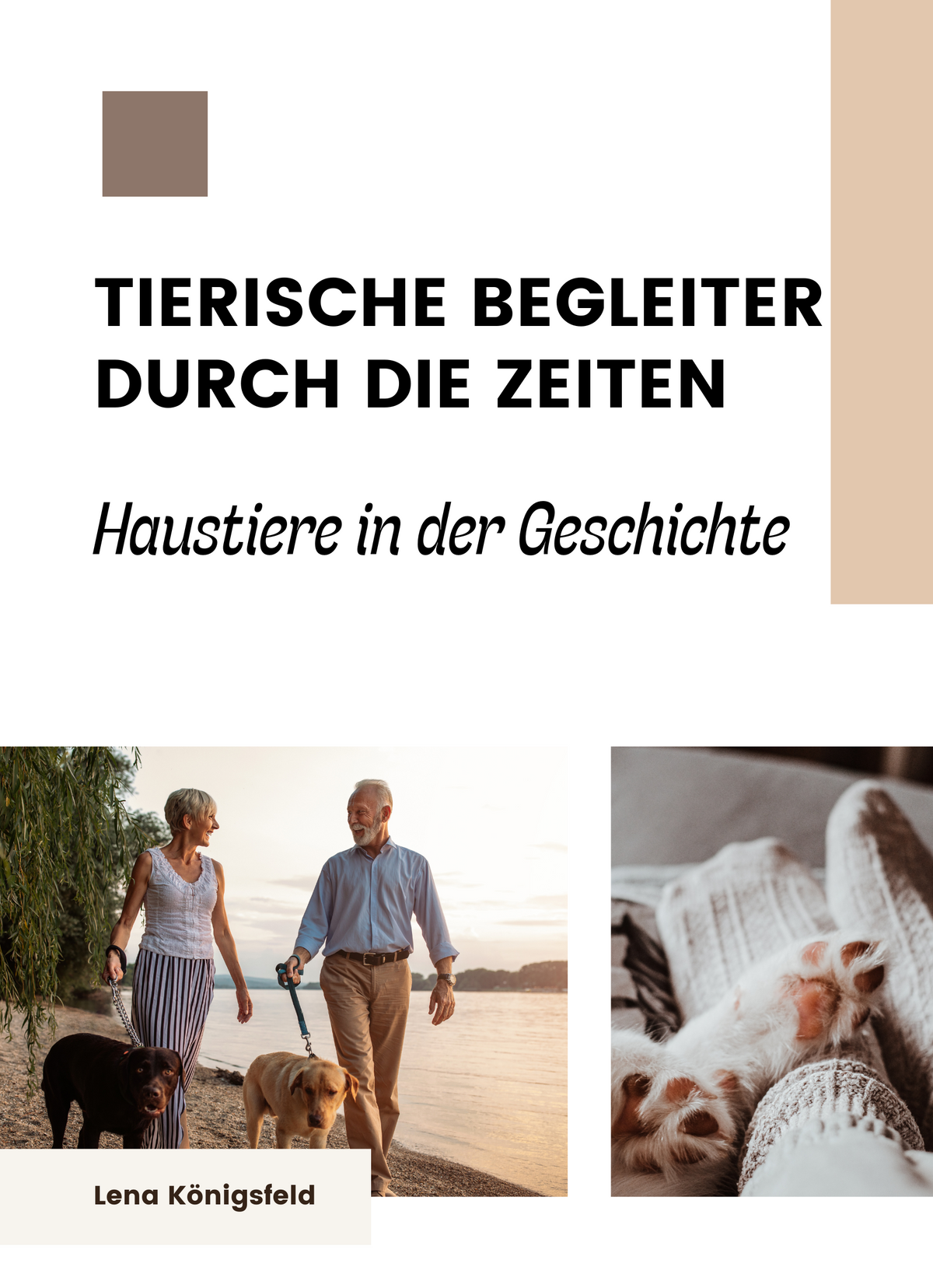 Tierische Begleiter durch die Zeiten