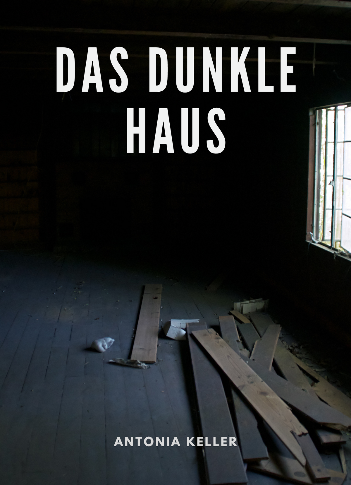 Das dunkle Haus