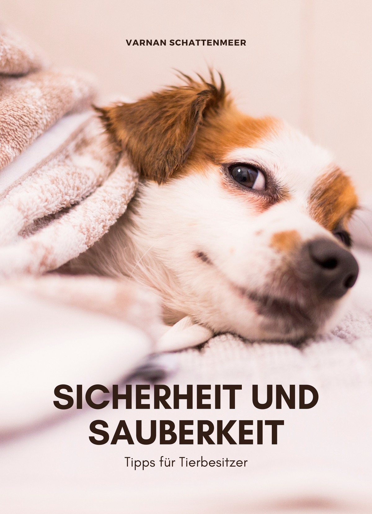 Sicherheit und Sauberkeit