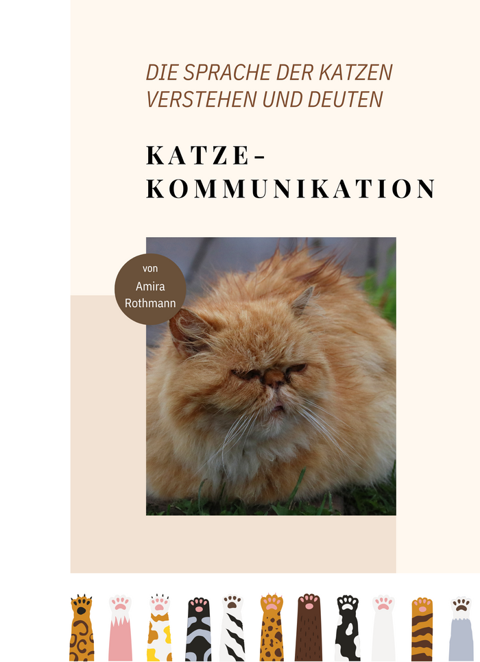 Katzenkommunikation