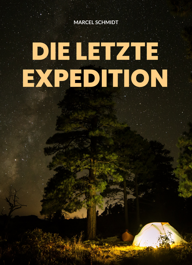 Die letzte Expedition