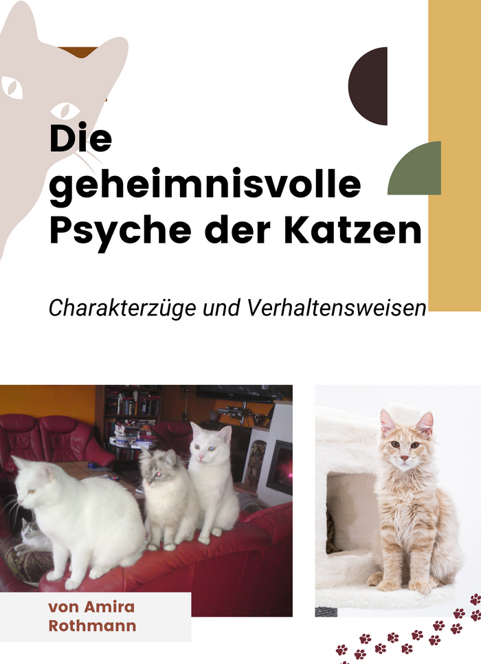 Die geheimnisvolle Psyche der Katzen