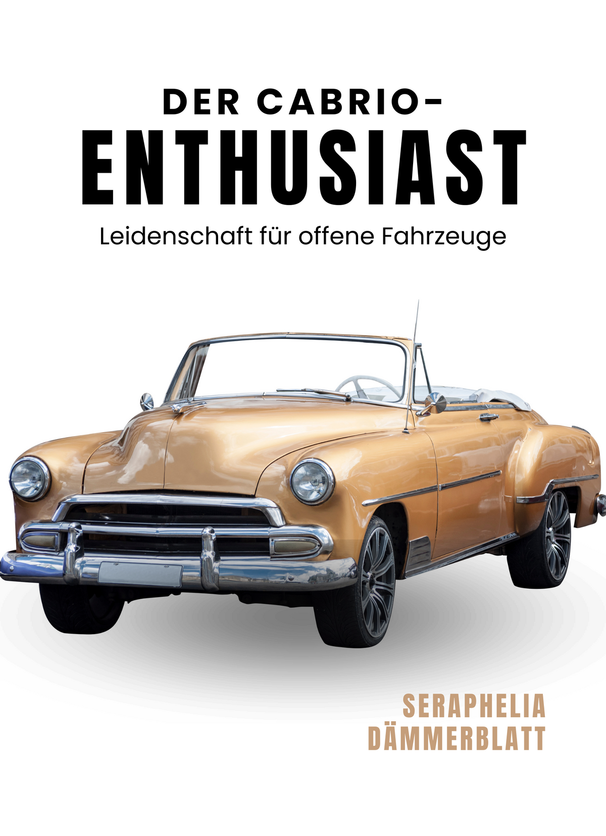 Der Cabrio-Enthusiast