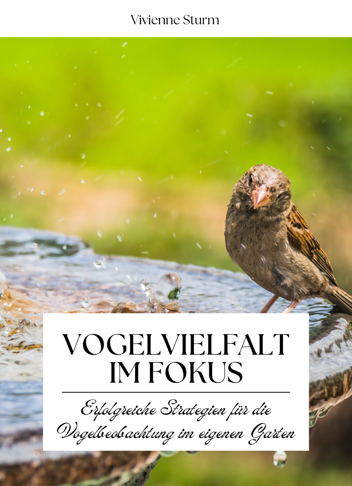 Vogelvielfalt im Fokus