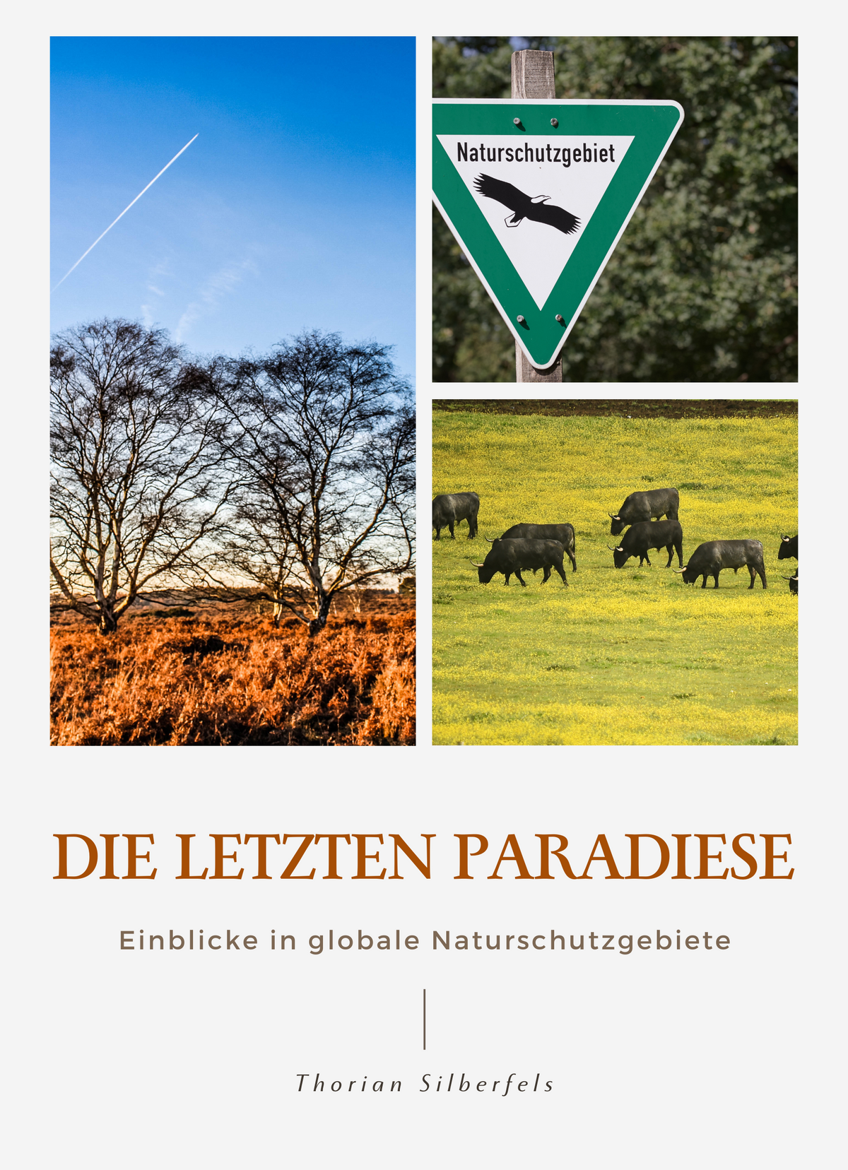 Die letzten Paradiese