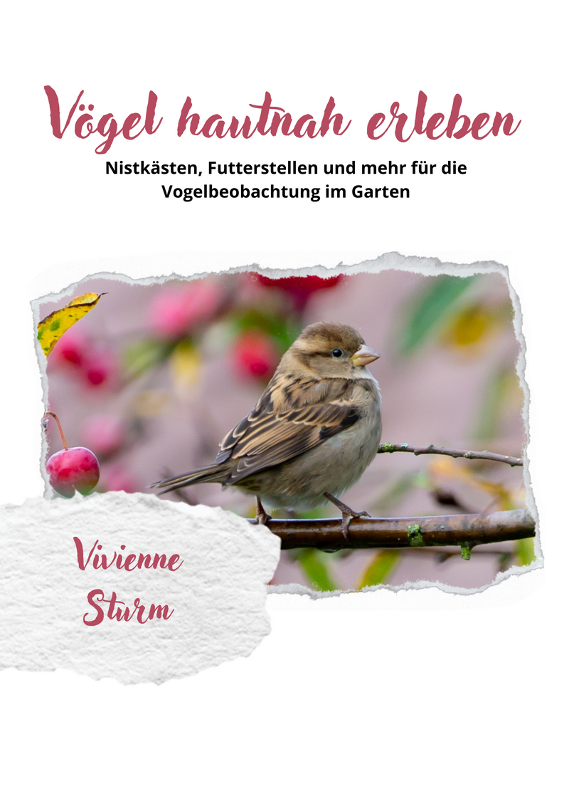 Vögel hautnah erleben