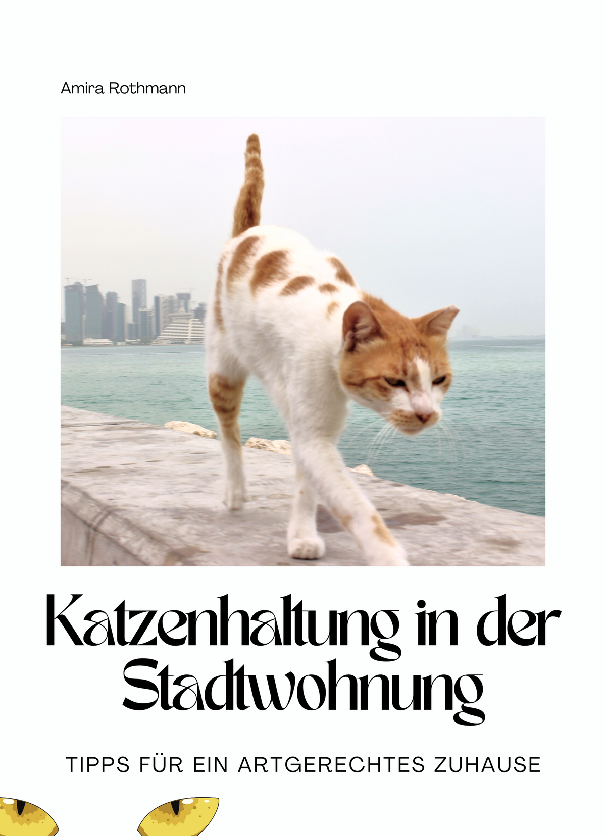 Katzenhaltung in der Stadtwohnung