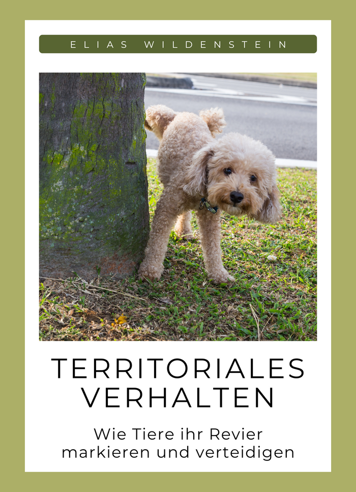 Territoriales Verhalten