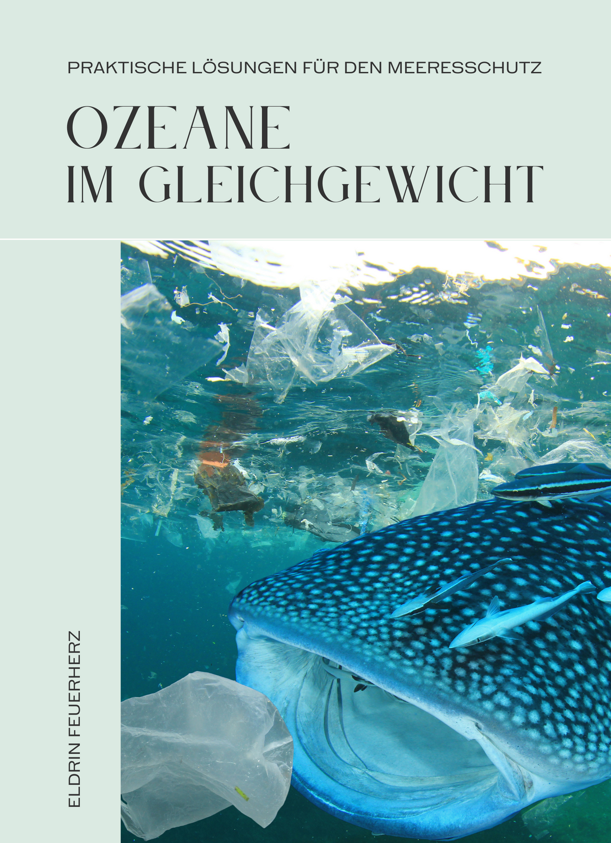 Ozeane im Gleichgewicht