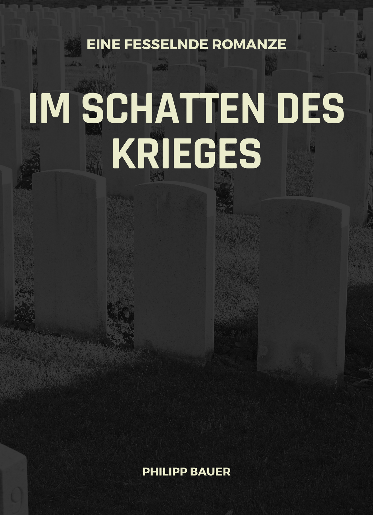 Im Schatten des Krieges