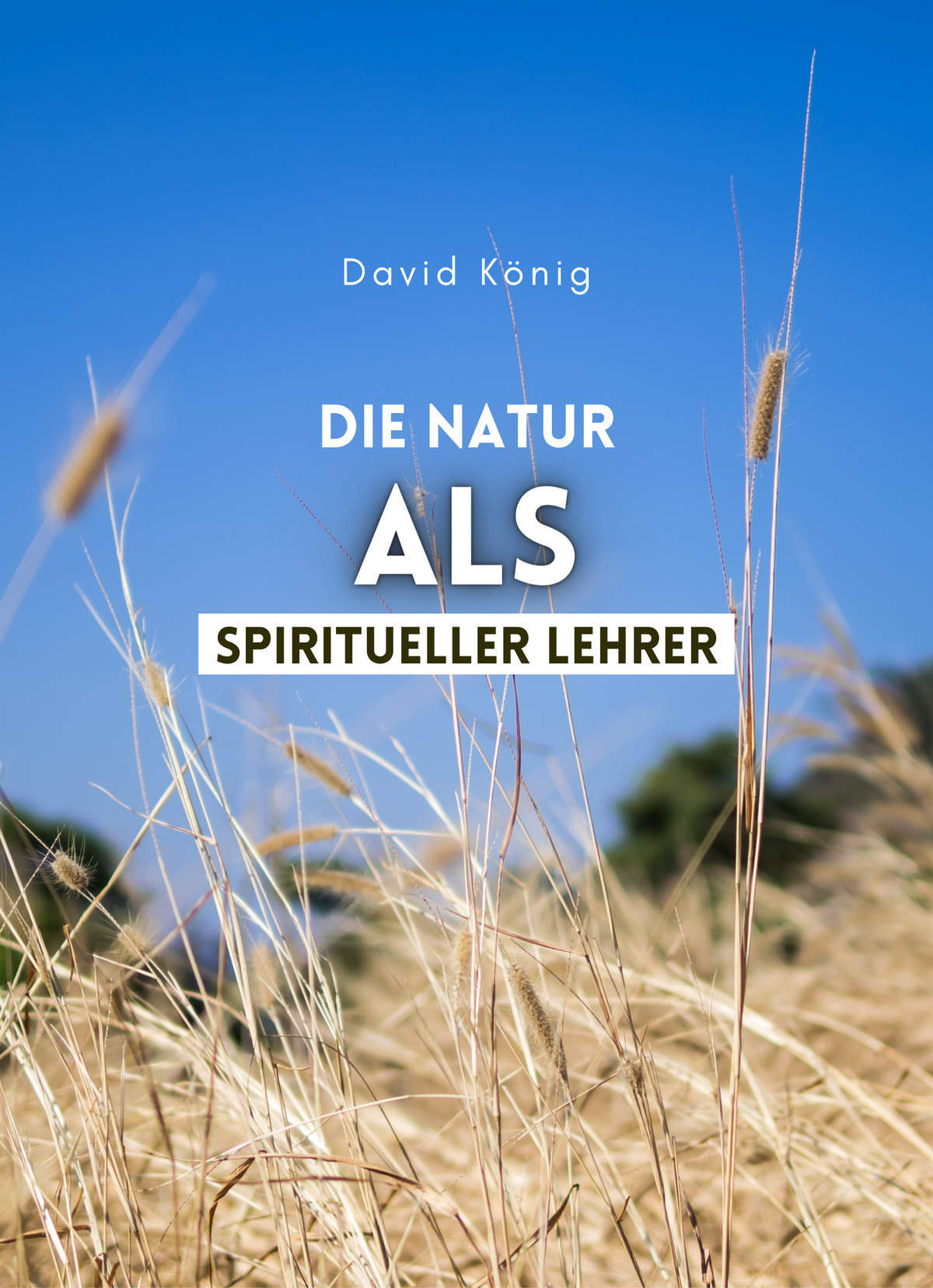 Die Natur als spiritueller Lehrer