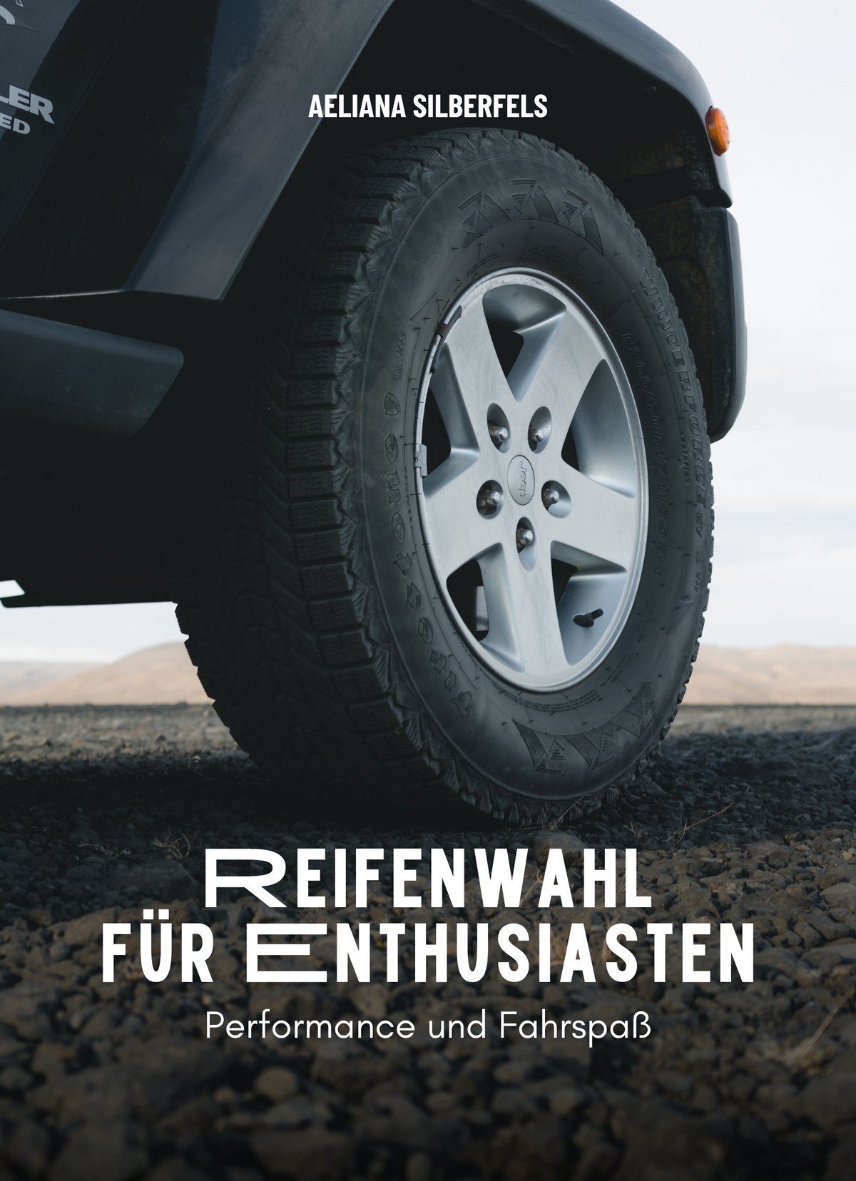 Reifenwahl für Enthusiasten