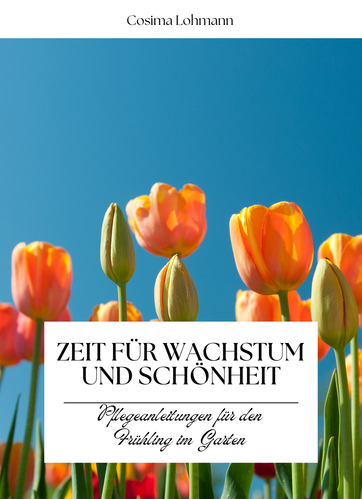 Zeit für Wachstum und Schönheit