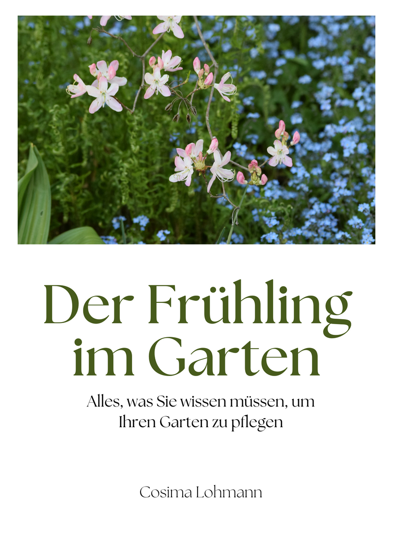 Der Frühling im Garten