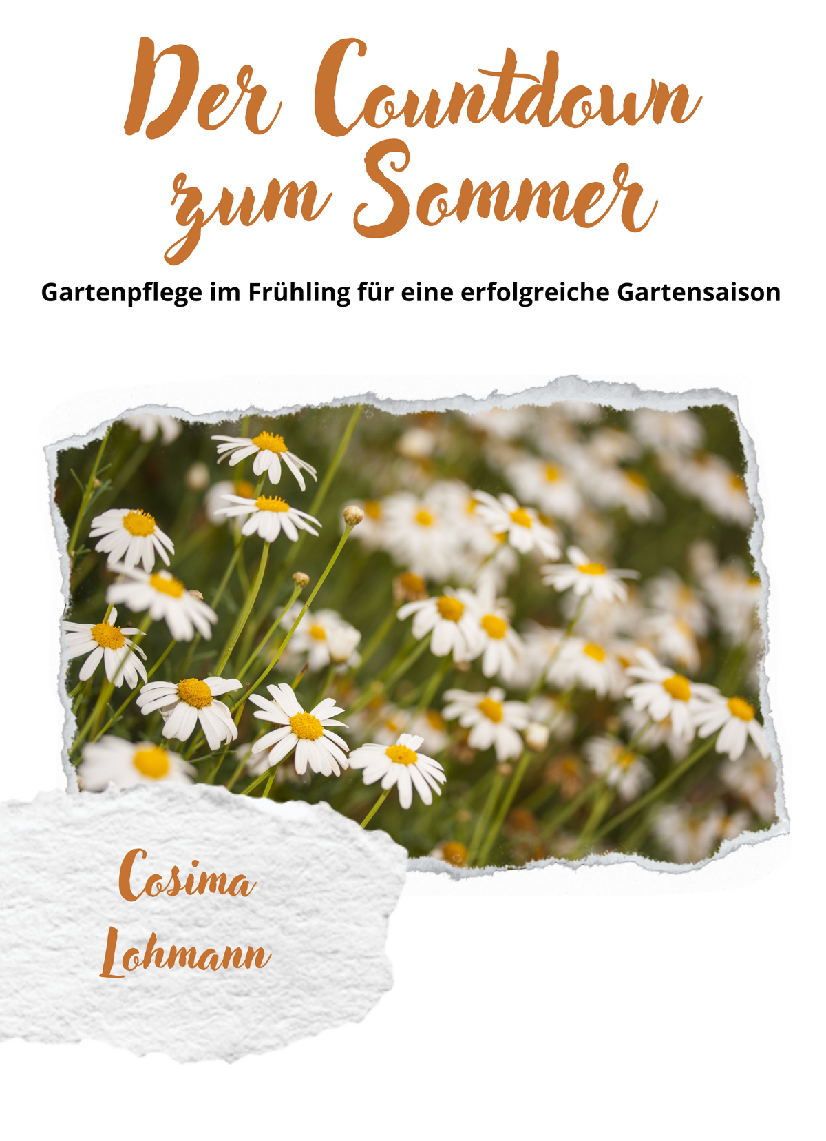 Der Countdown zum Sommer