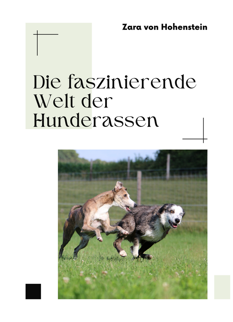 Die faszinierende Welt der Hunderassen