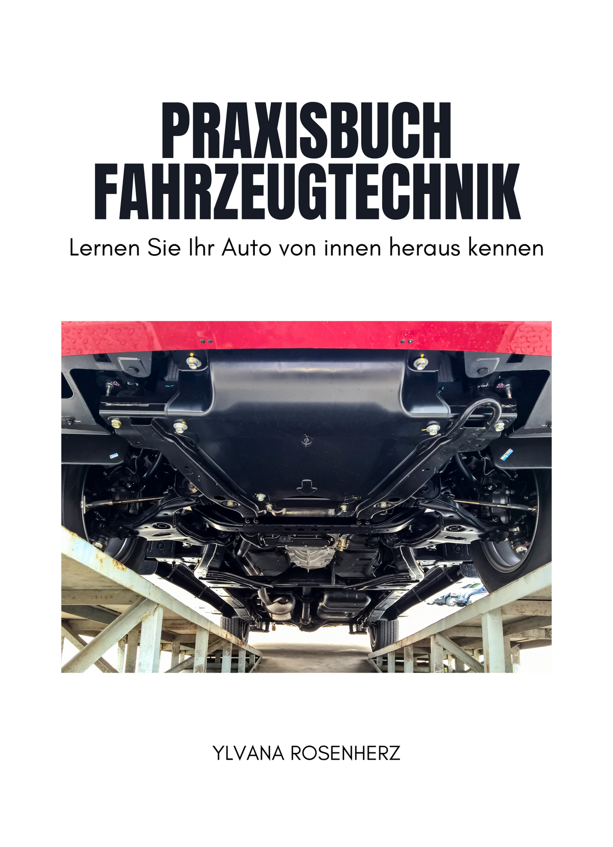 Praxisbuch Fahrzeugtechnik