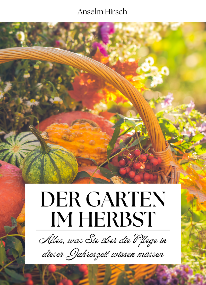 Der Garten im Herbst