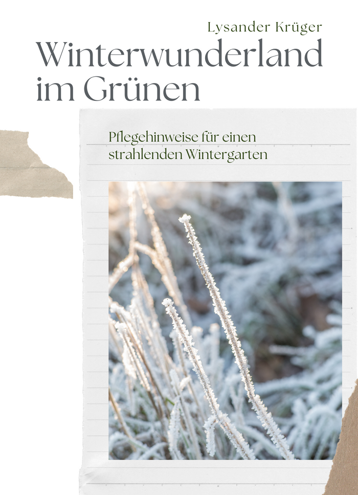 Winterwunderland im Grünen