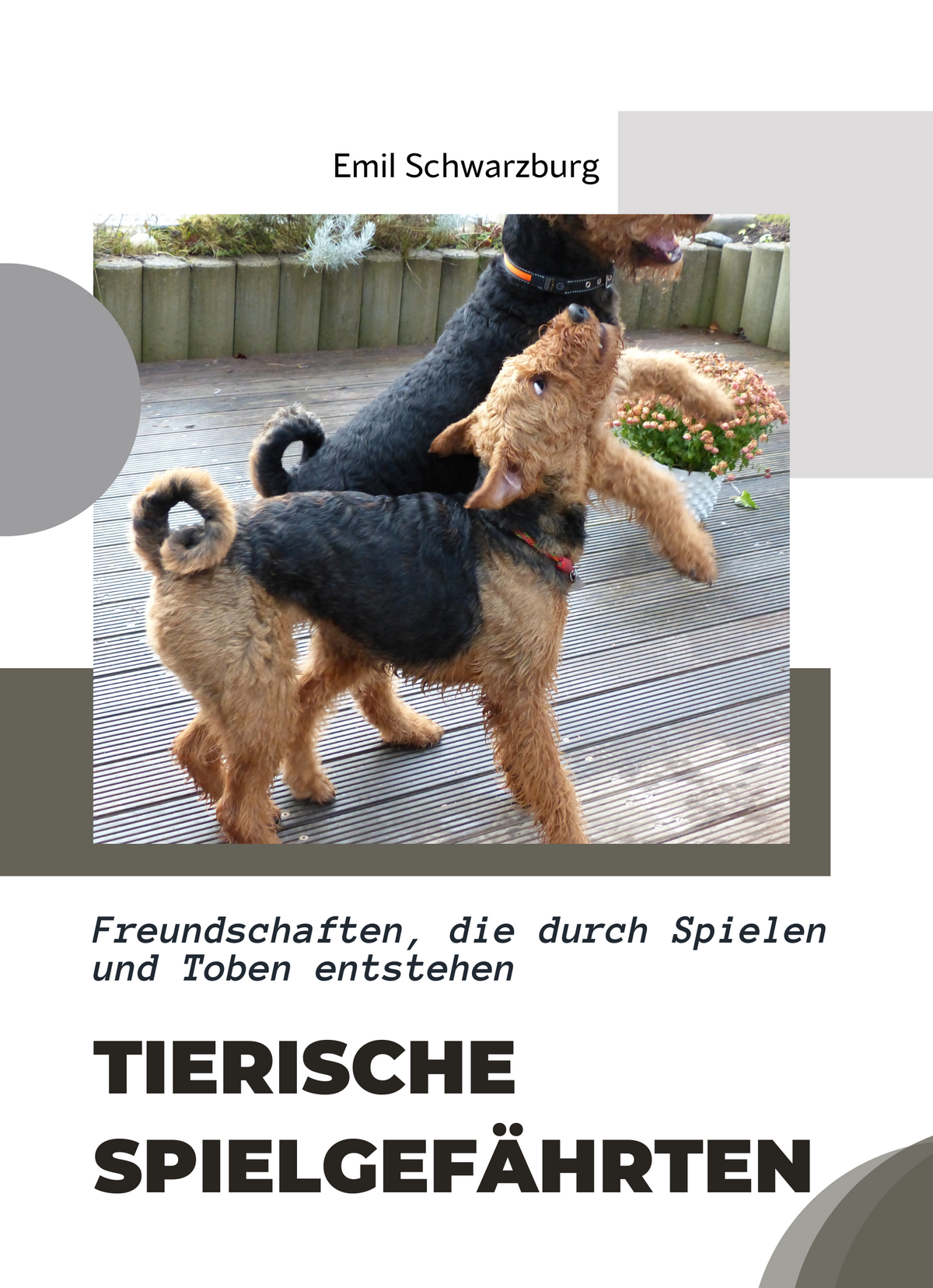 Tierische Spielgefährten