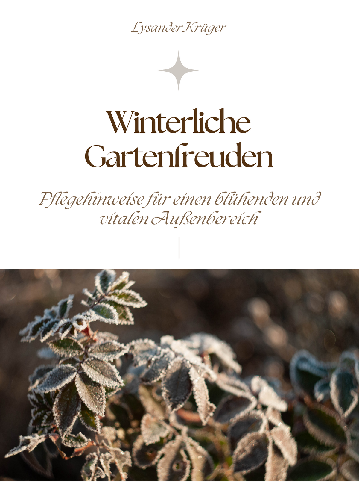 Winterliche Gartenfreuden