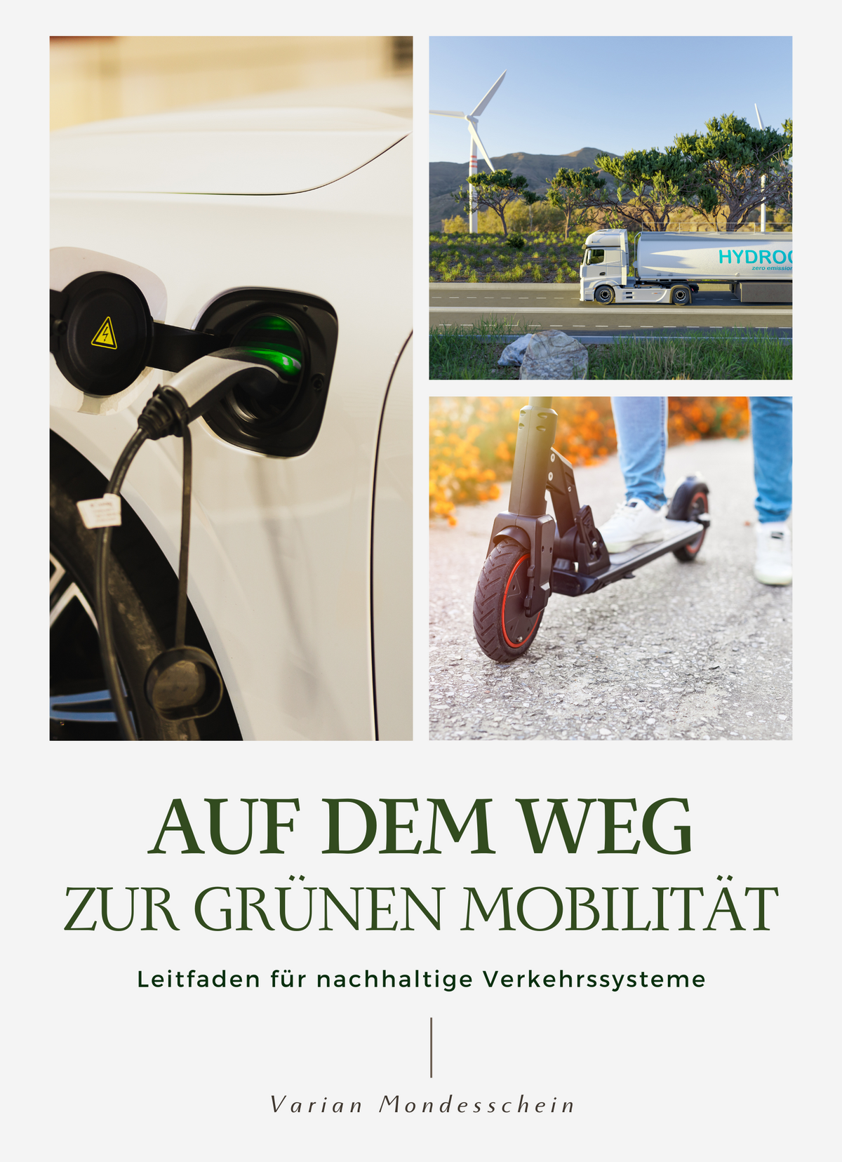 Auf dem Weg zur Grünen Mobilität