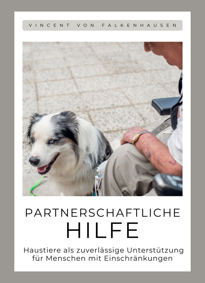 Partnerschaftliche Hilfe