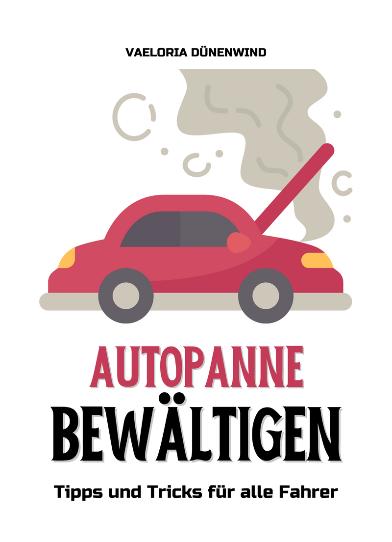 Autopanne bewältigen