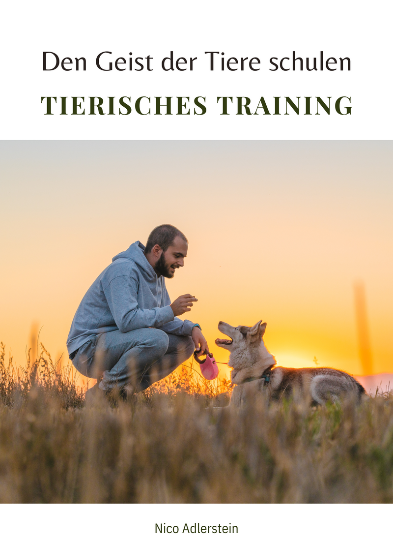 Tierisches Training