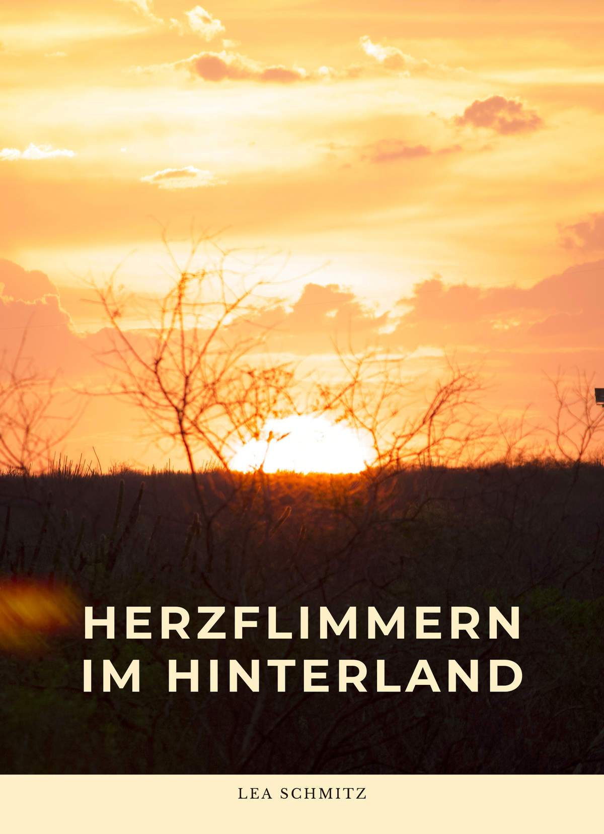 Herzflimmern im Hinterland