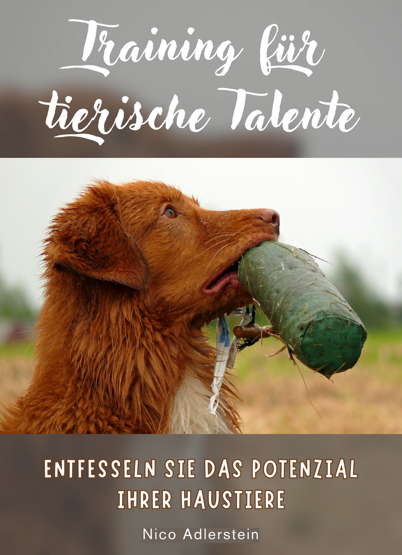 Training für tierische Talente