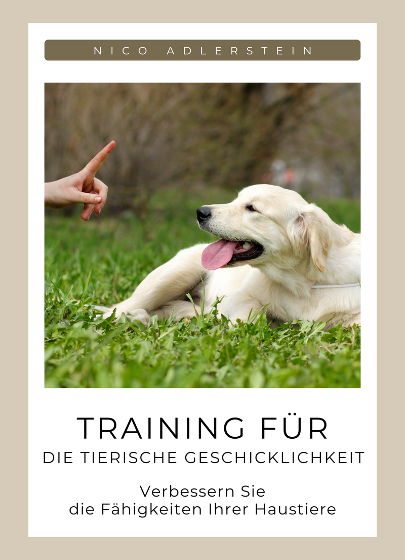 Training für die tierische Geschicklichkeit