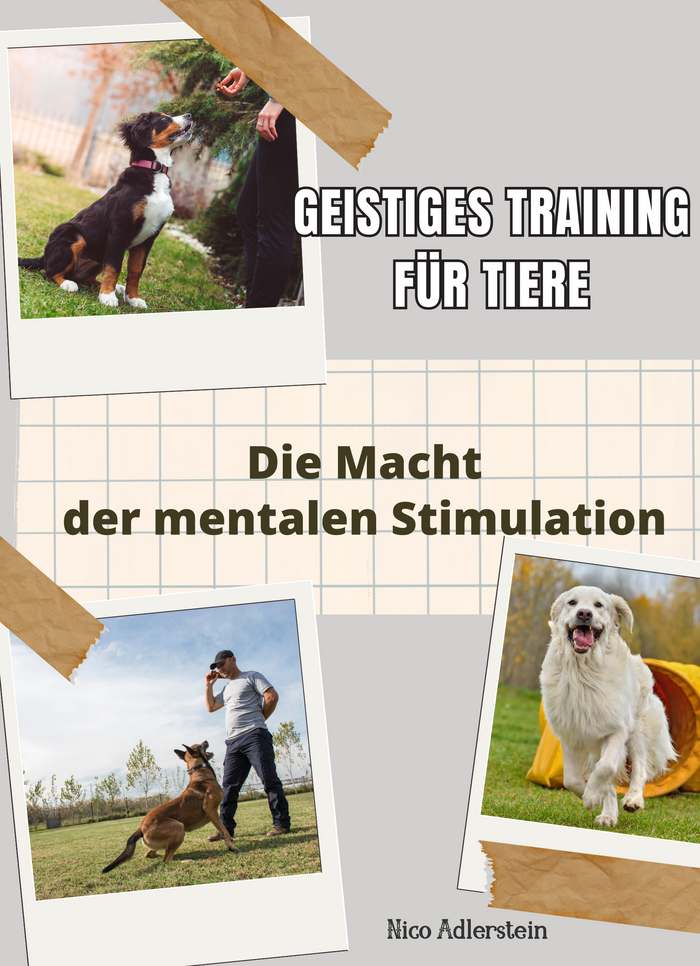 Geistiges Training für Tiere