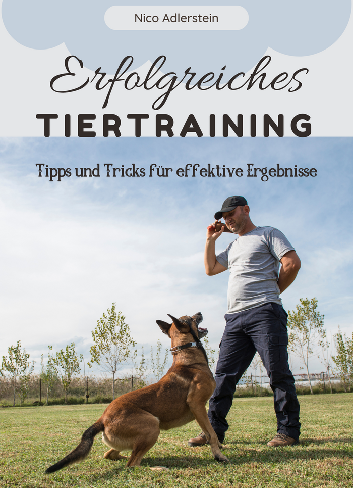 Erfolgreiches Tiertraining