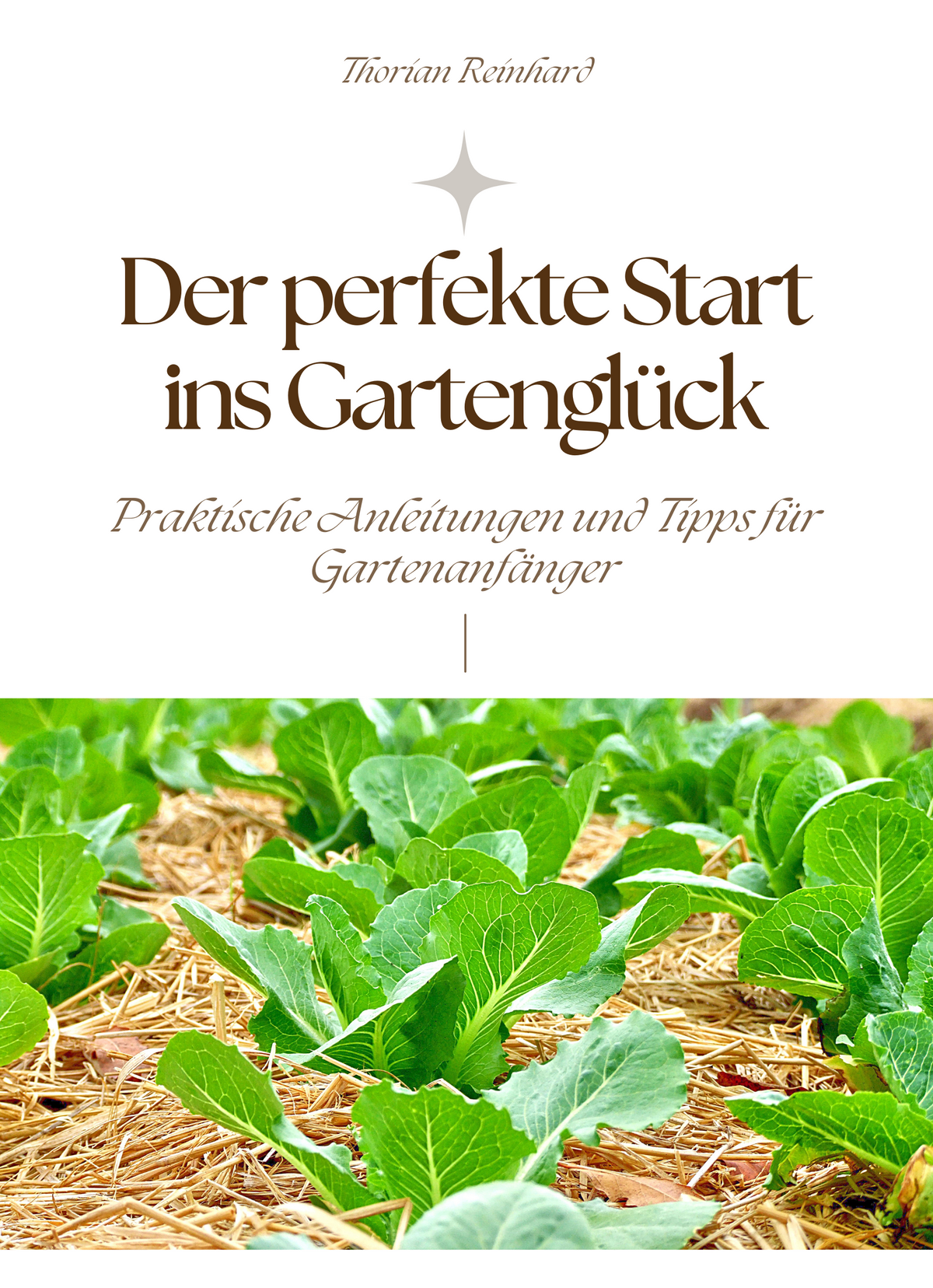 Der perfekte Start ins Gartenglück