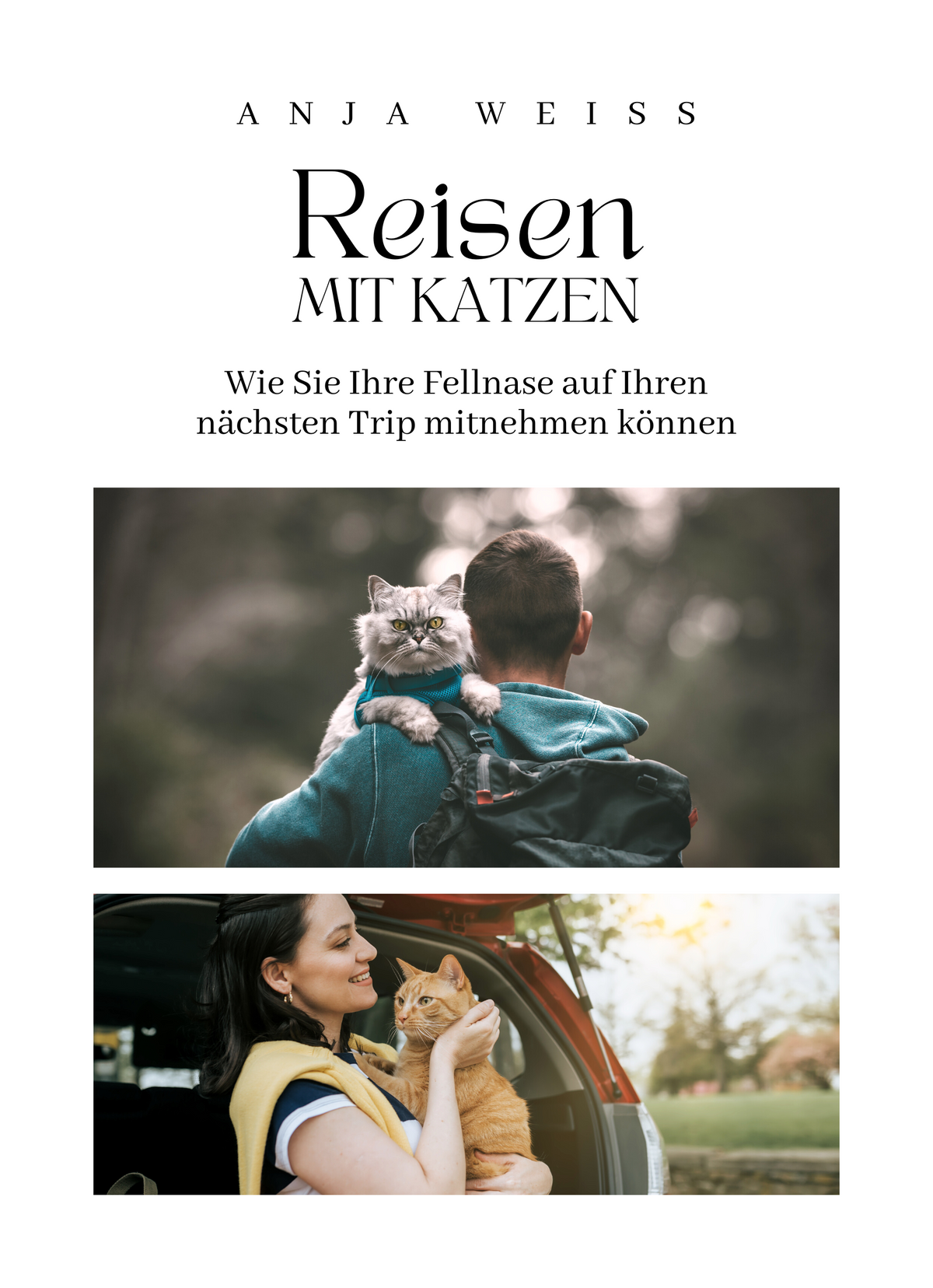 Reisen mit Katzen