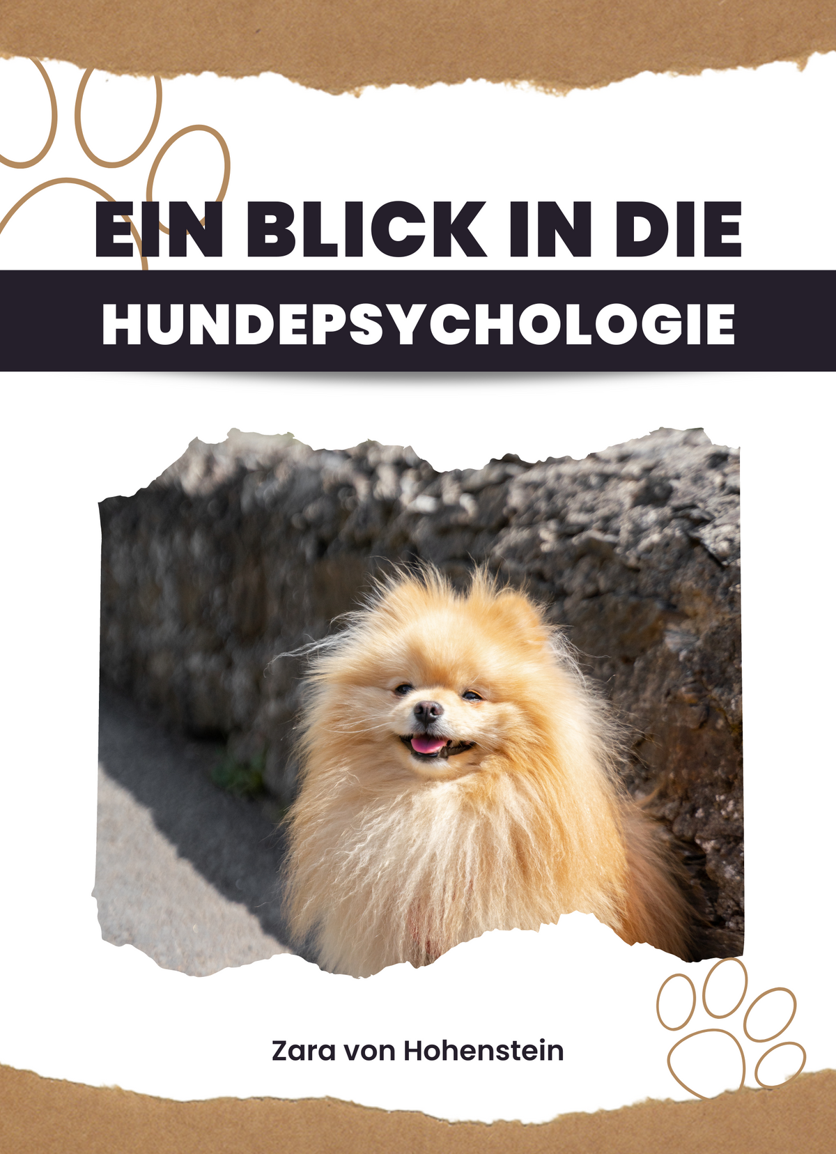 Ein Blick in die Hundepsychologie