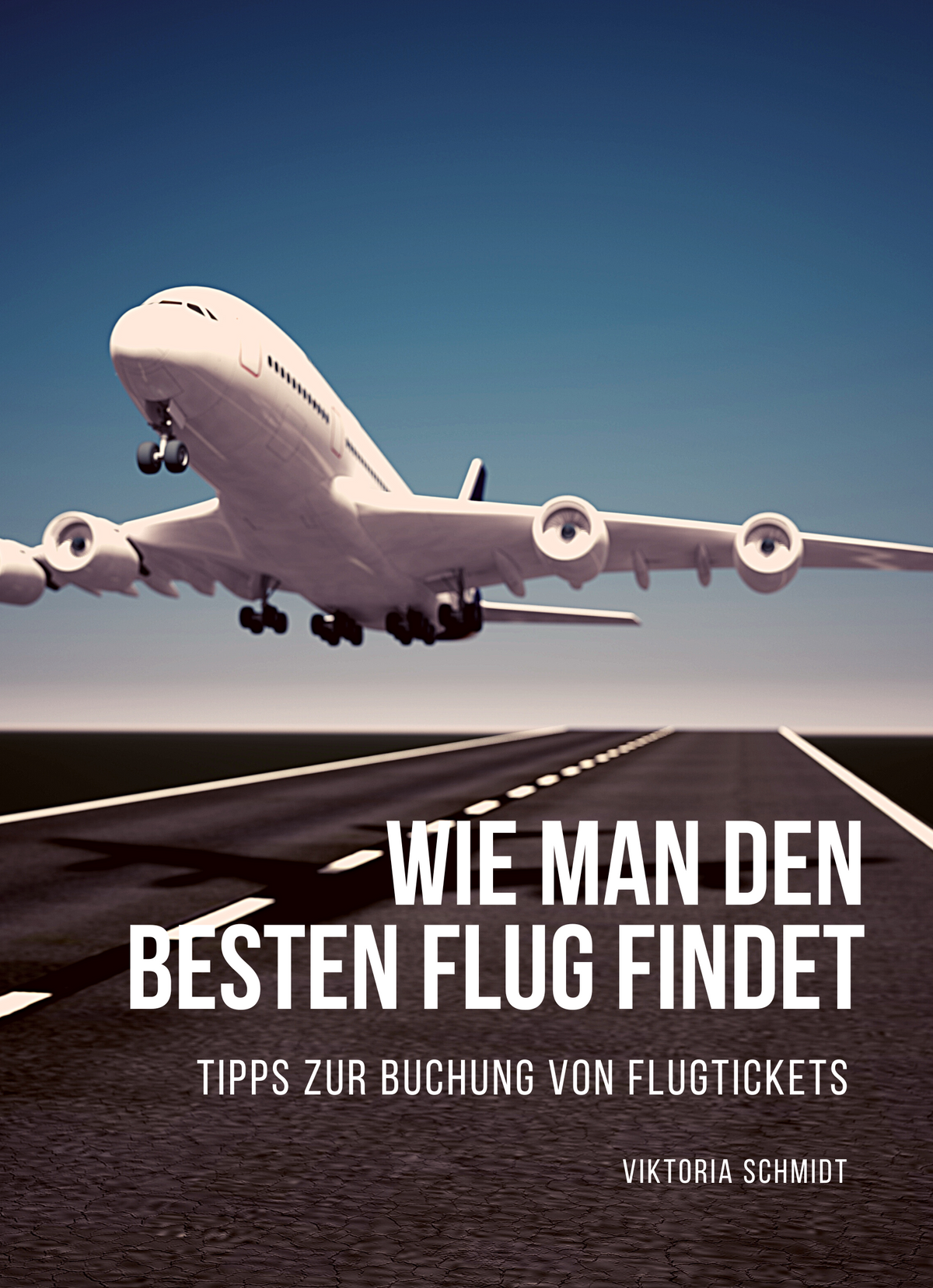 Wie man den besten Flug findet