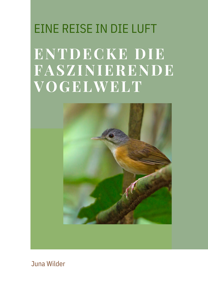 Entdecke die faszinierende Vogelwelt