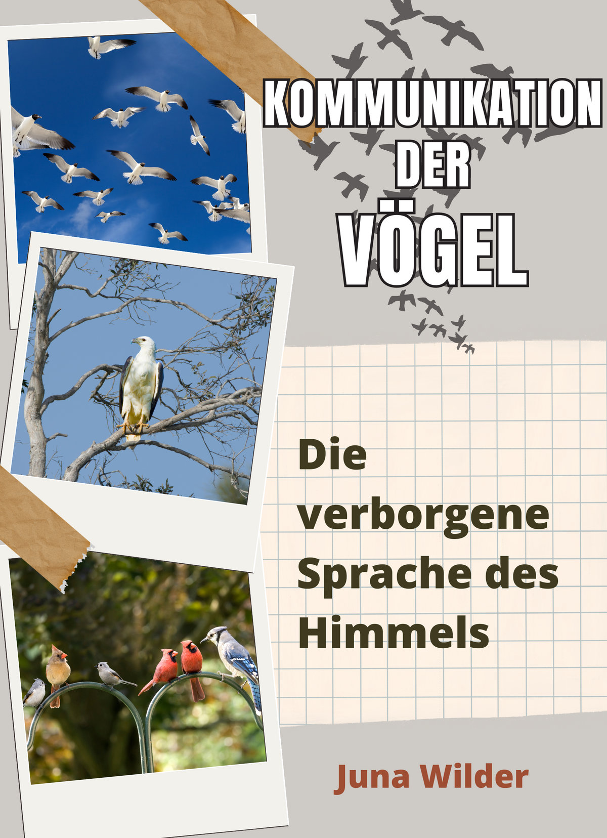 Kommunikation der Vögel