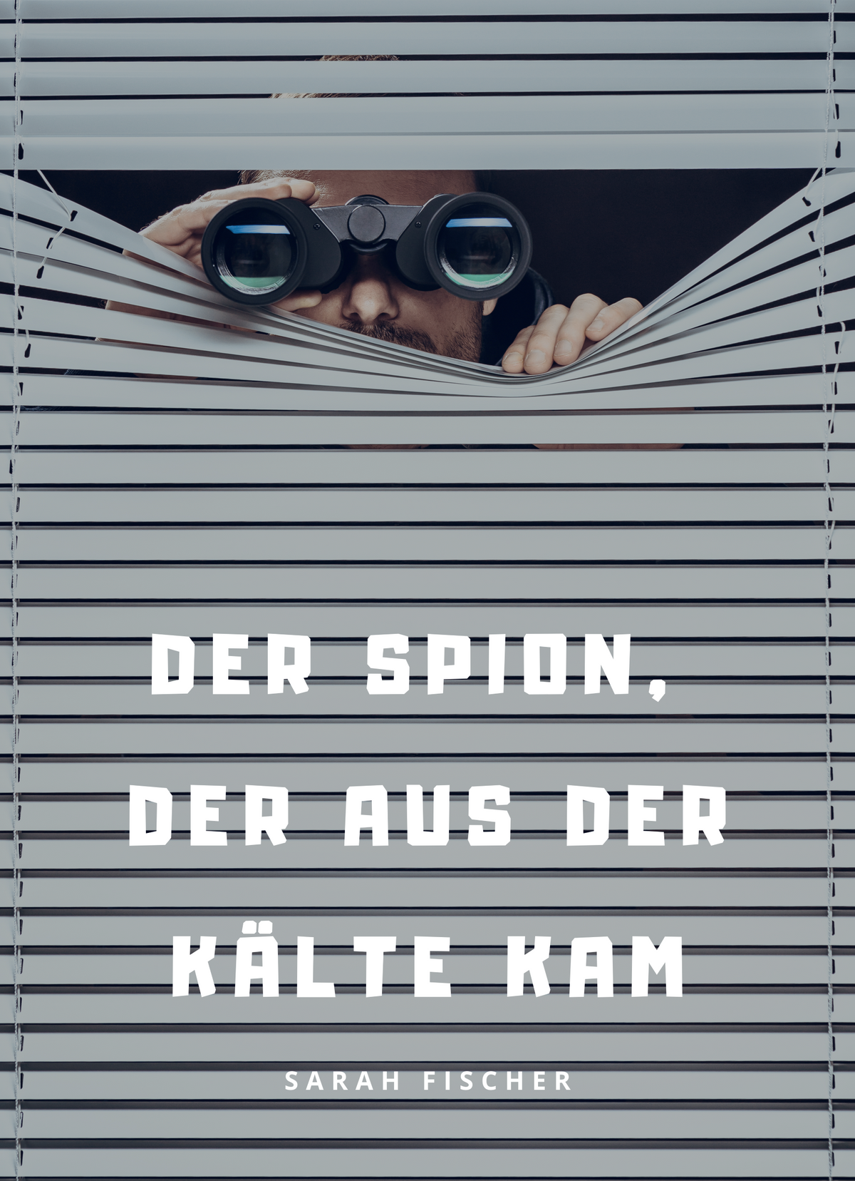 Der Spion, der aus der Kälte kam